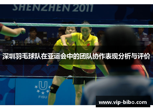 深圳羽毛球队在亚运会中的团队协作表现分析与评价