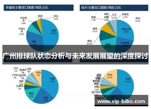 广州排球队状态分析与未来发展展望的深度探讨