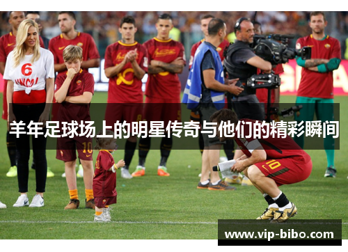 羊年足球场上的明星传奇与他们的精彩瞬间