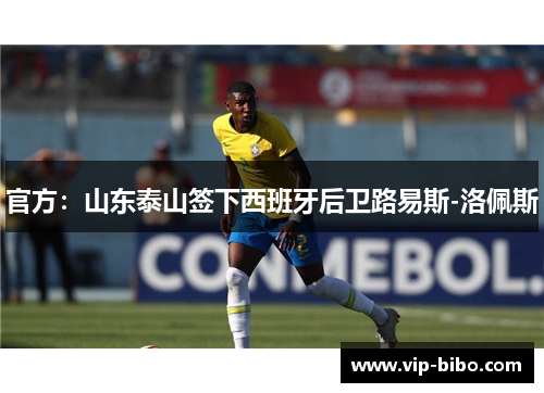 官方:山东泰山签下西班牙后卫路易斯-洛佩斯 官方:山东泰山签下西班牙后卫路易斯-洛佩斯