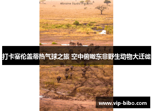 打卡塞伦盖蒂热气球之旅 空中俯瞰东非野生动物大迁徙